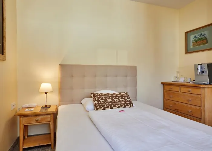 楚格峰酒店 酒店 4*