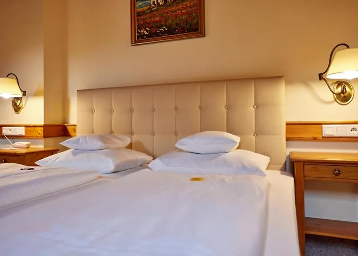 酒店 楚格峰酒店 4*