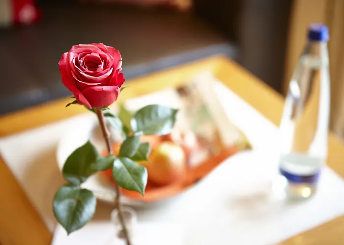 酒店 楚格峰酒店